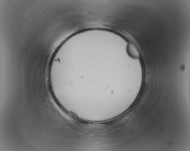 X0000115311285200911301527