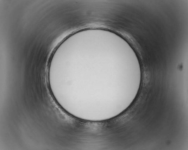 X0000115311286200911301527