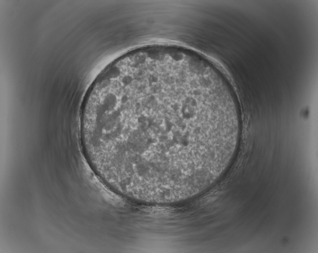 X0000115311287200911301527