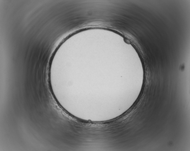 X0000115311288200911301527