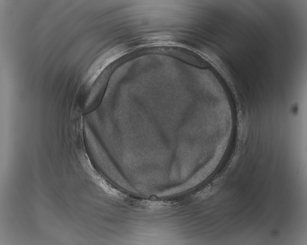 X0000115311289200911301527