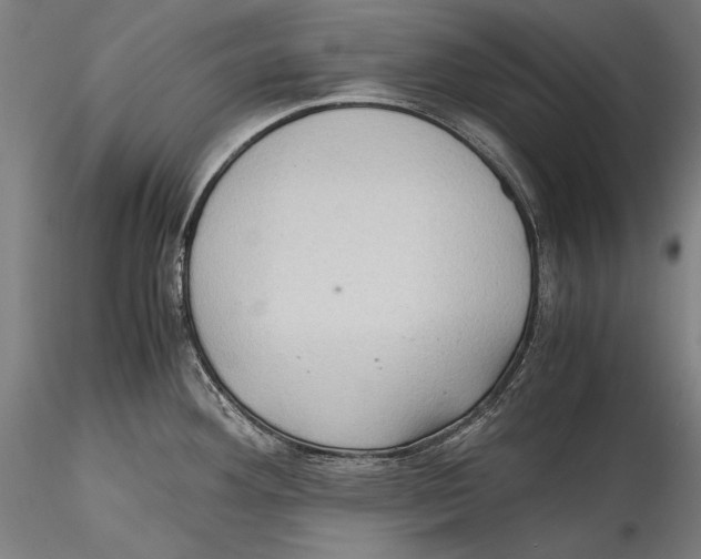 X0000115311292200911301527