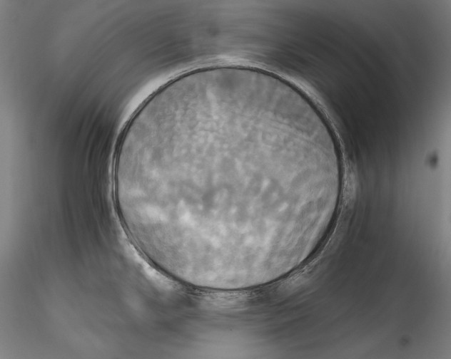 X0000115311294200911301527