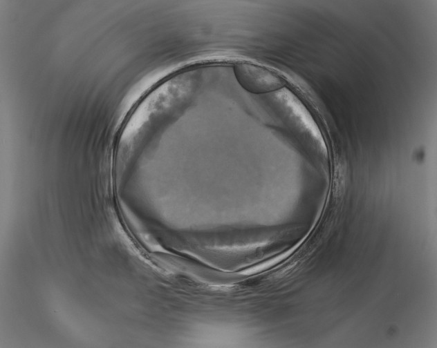 X0000115311295200911301527