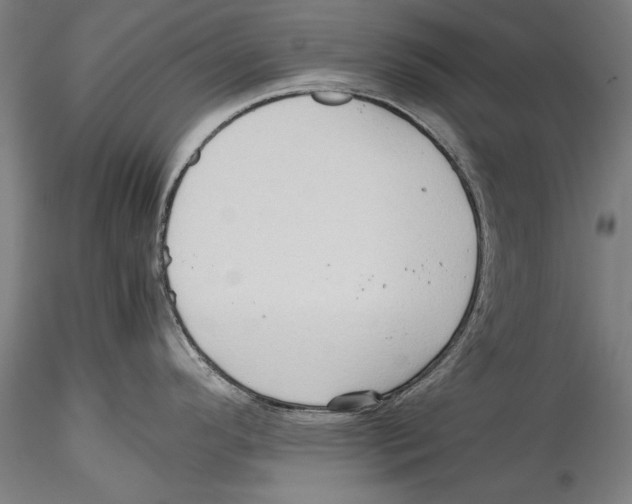 X0000115311296200911301527