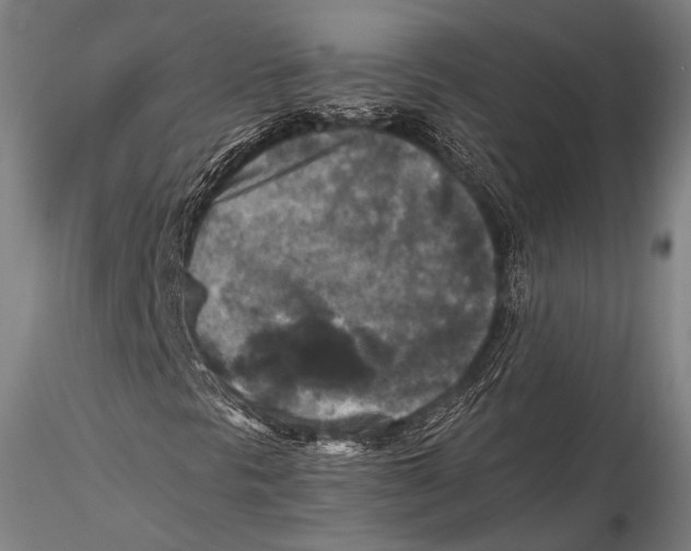 X0000115311297200911301526