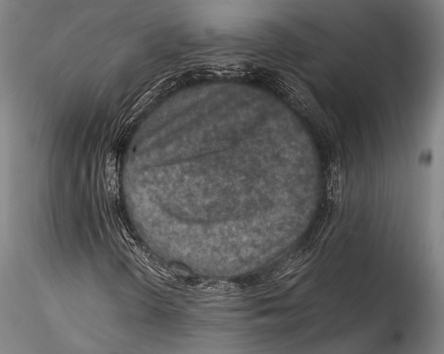 X0000115311298200911301526