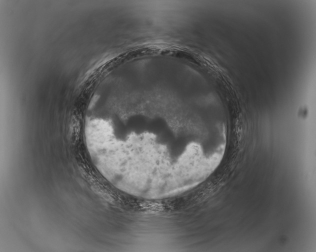 X0000115311302200911301526