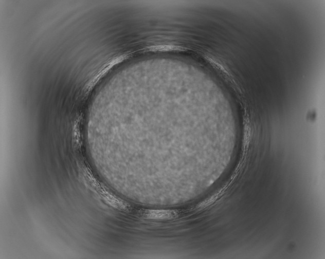 X0000115311305200911301526