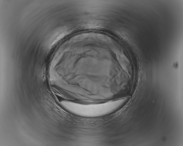 X0000115311306200911301526