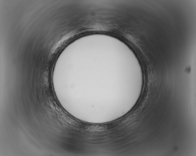 X0000115311307200911301526