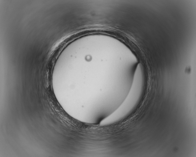 X0000115311310200911301526