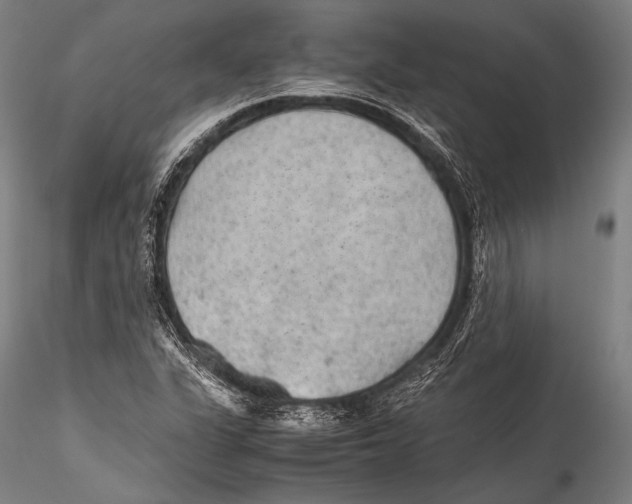 X0000115311311200911301526