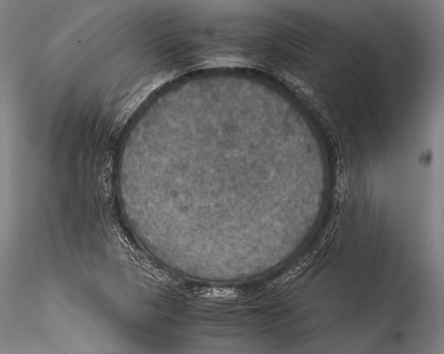 X0000115311313200911301526