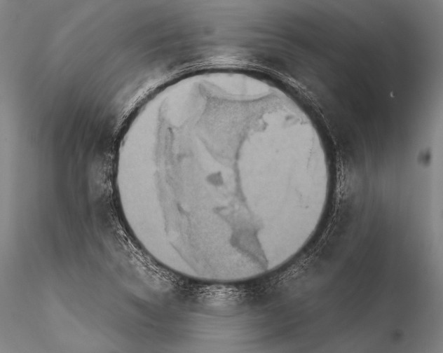 X0000115311314200911301526