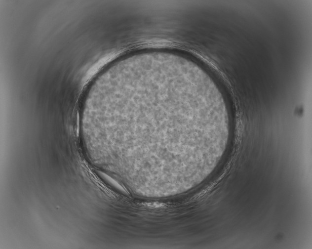 X0000115311317200911301526