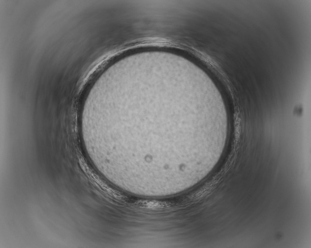 X0000115311318200911301526