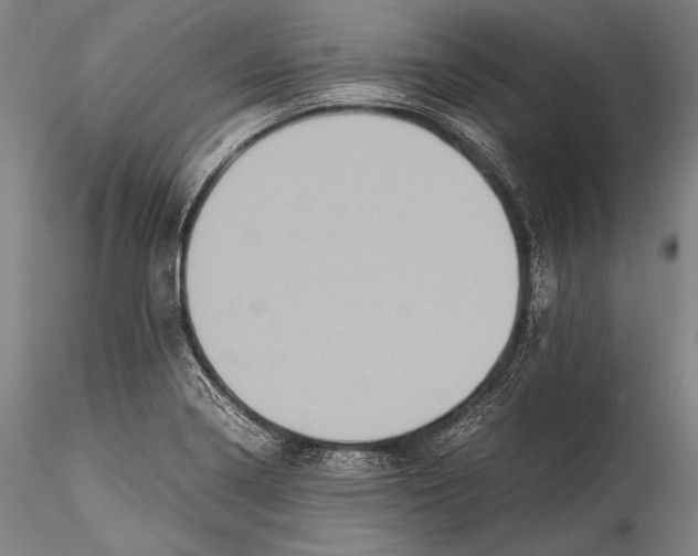 X0000115311322200911301526