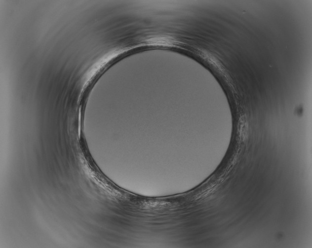 X0000115311323200911301526