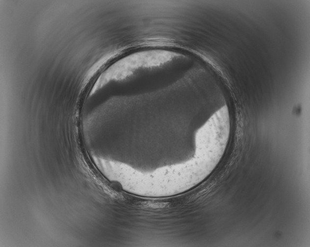 X0000115311325200911301526