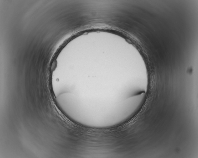 X0000115311326200911301526