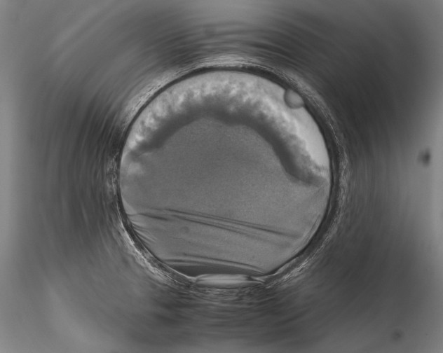 X0000115311329200911301527