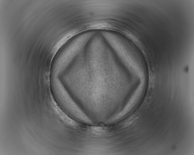 X0000115311330200911301527