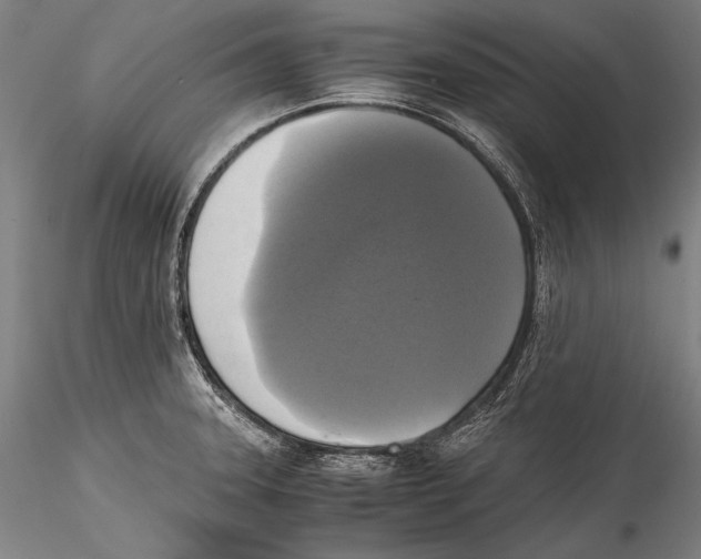 X0000115311331200911301527