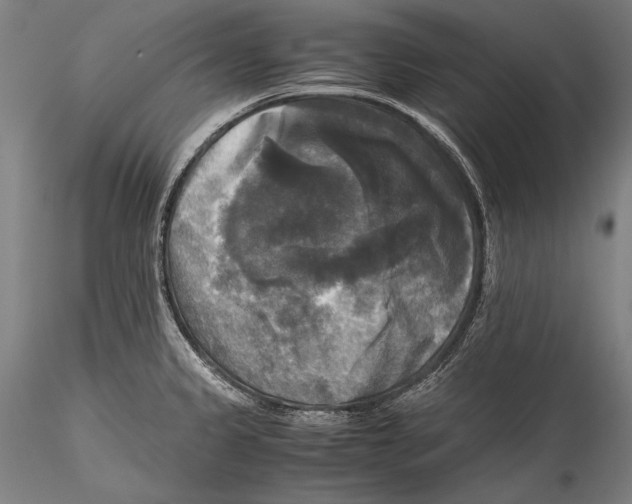 X0000115311333200911301527