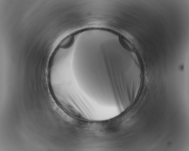 X0000115311334200911301527