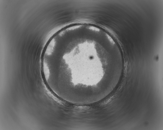 X0000115311335200911301527