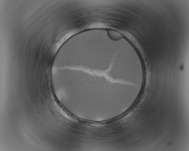 X0000115311337200911301527