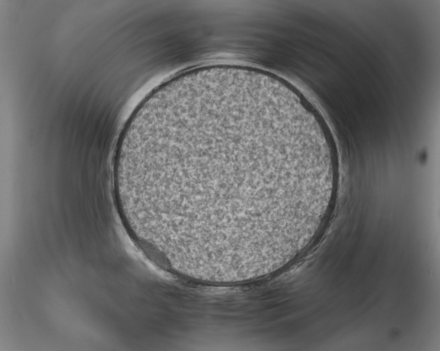 X0000115311341200911301527