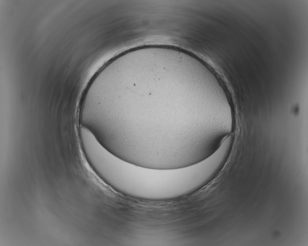 X0000115311342200911301527