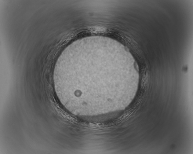 X0000115311345200911301526