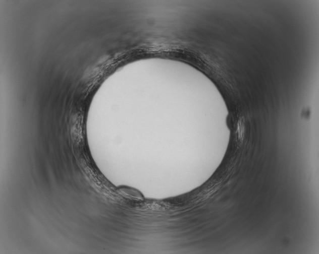 X0000115311348200911301526