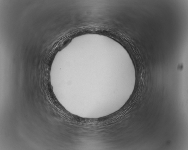 X0000115311349200911301526