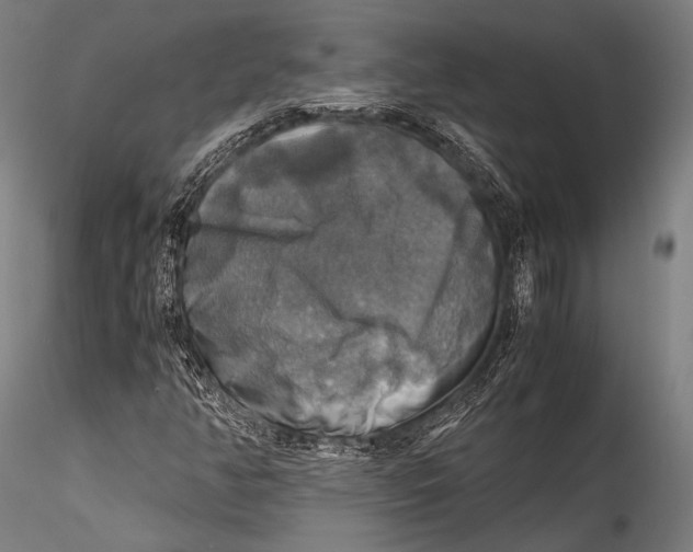 X0000115311350200911301526