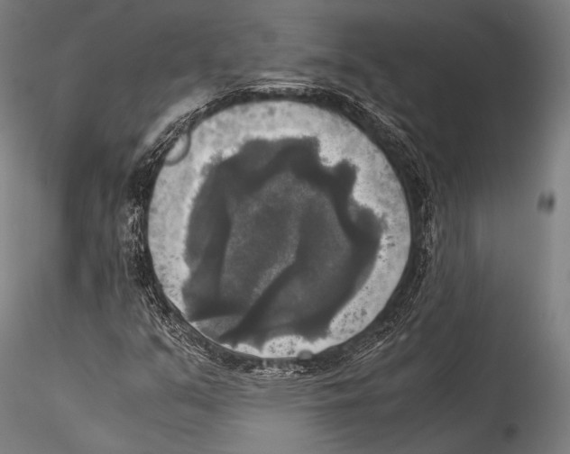 X0000115311351200911301526