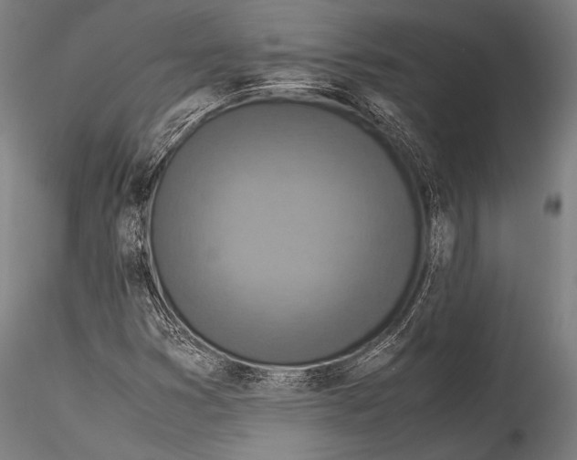 X0000115311353200911301526