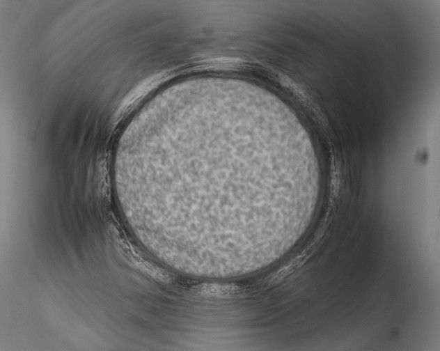 X0000115311354200911301526