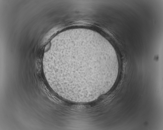 X0000115311355200911301526