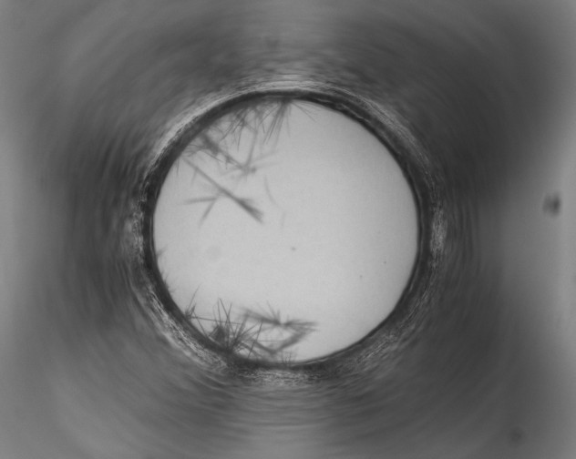 X0000115311356200911301526