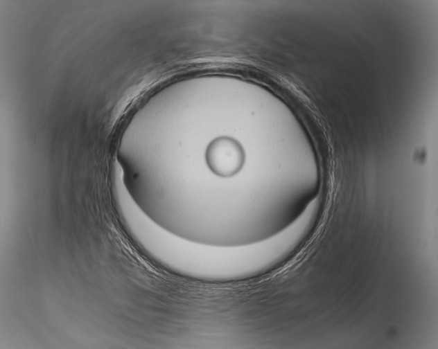 X0000115311357200911301526