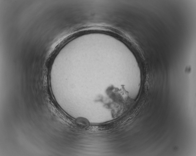 X0000115311360200911301526