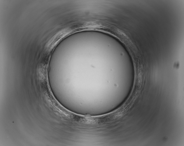 X0000115311361200911301526