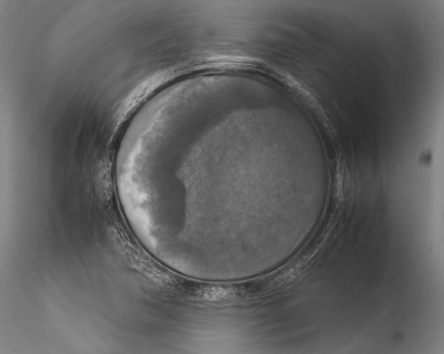 X0000115311362200911301526