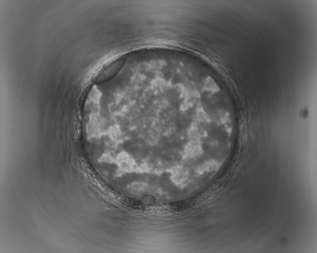 X0000115311363200911301526