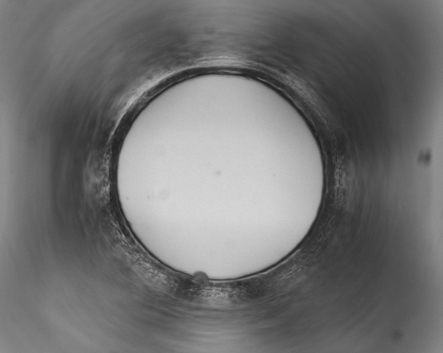 X0000115311364200911301526