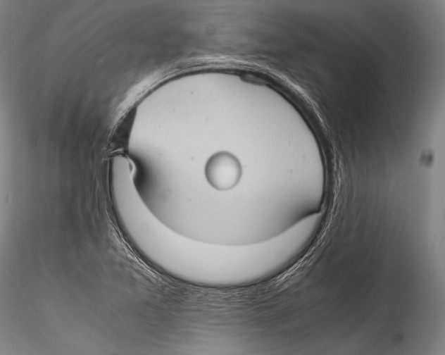 X0000115311365200911301526